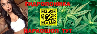 МДПВ Усть-Илимск