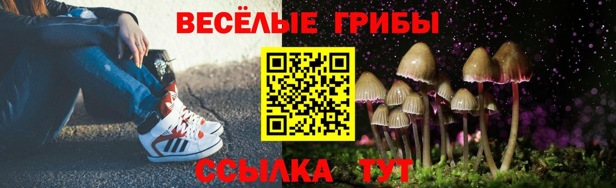 Псилоцибиновые грибы Psilocybine cubensis  купить   Вход с VPN  Обнинск  Псилоцибиновые грибы GOLDEN TEACHER 